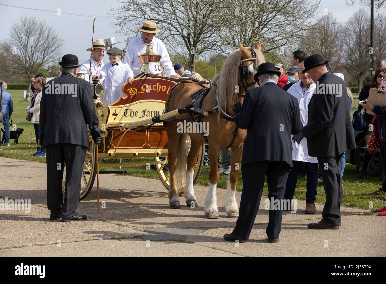 London Harness Horse Parade, South of England Centre, Ardingly West