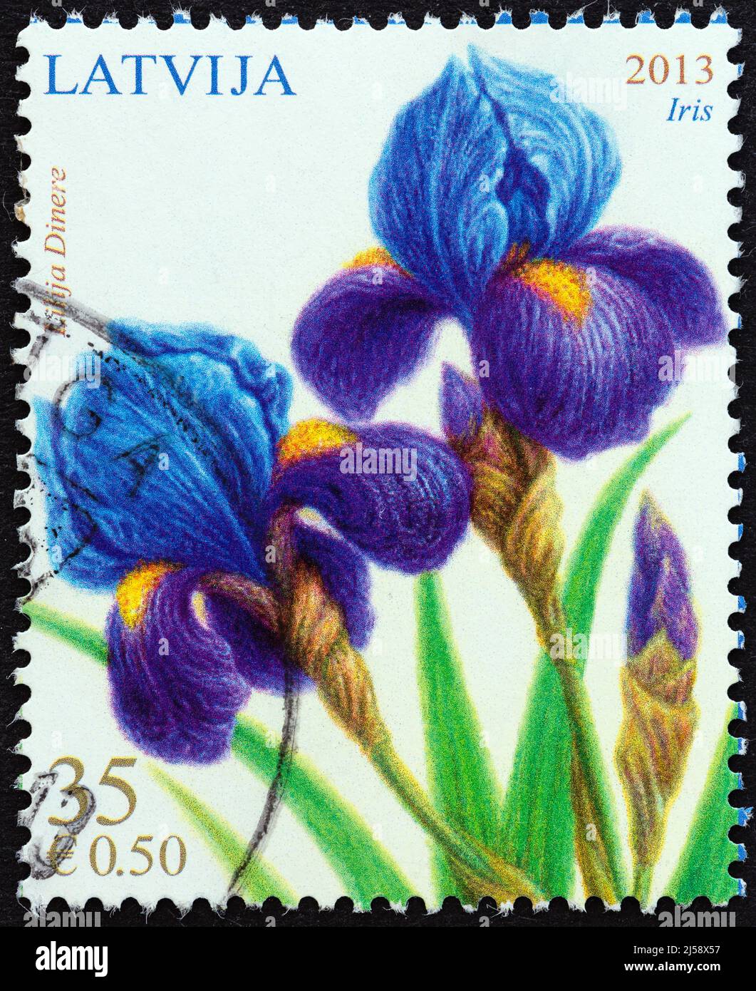LATVIA - CIRCA 2013: A stamp printed in Latvia from the 'Flowers - Painting by Lilija Dinere' issue shows Iris, circa 2013. Stock Photo