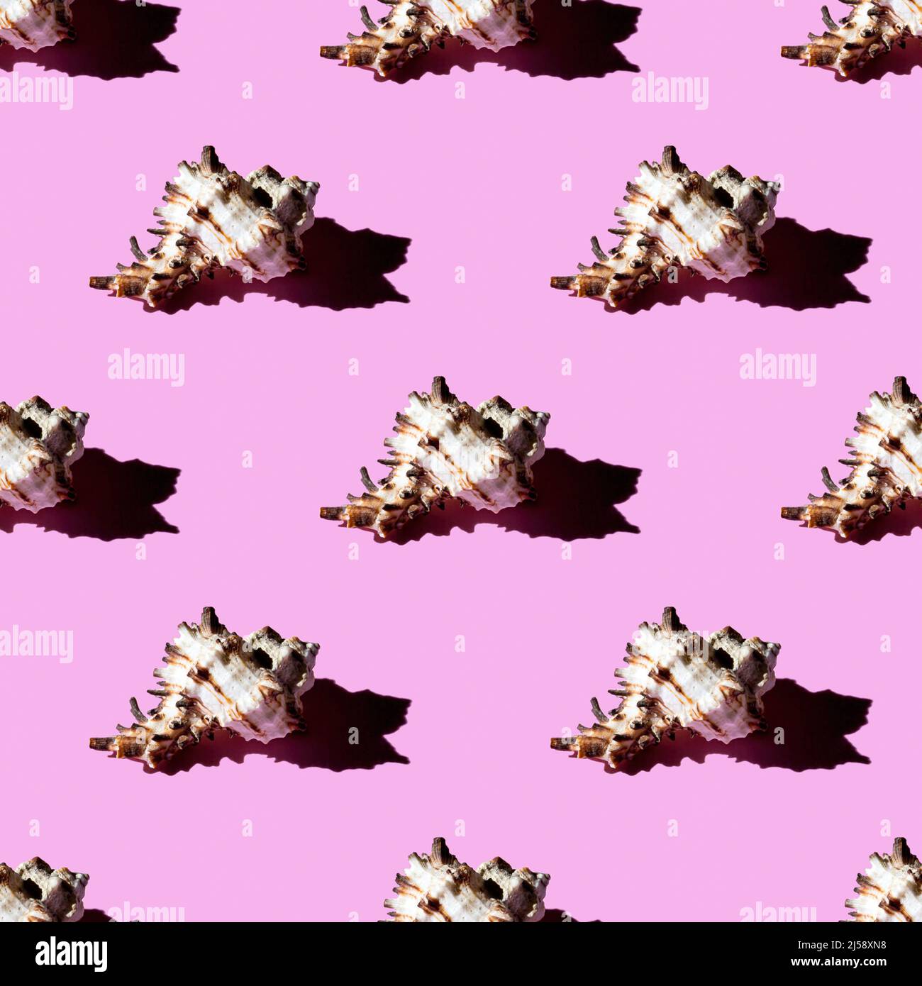 Seamless pattern of clam shells on a pink background. Summertime ...