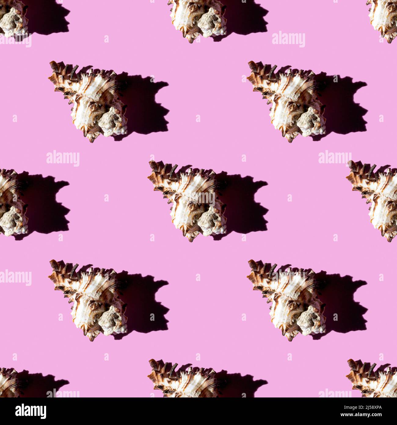 Seamless pattern of clam shells on a pink background. Summertime ...