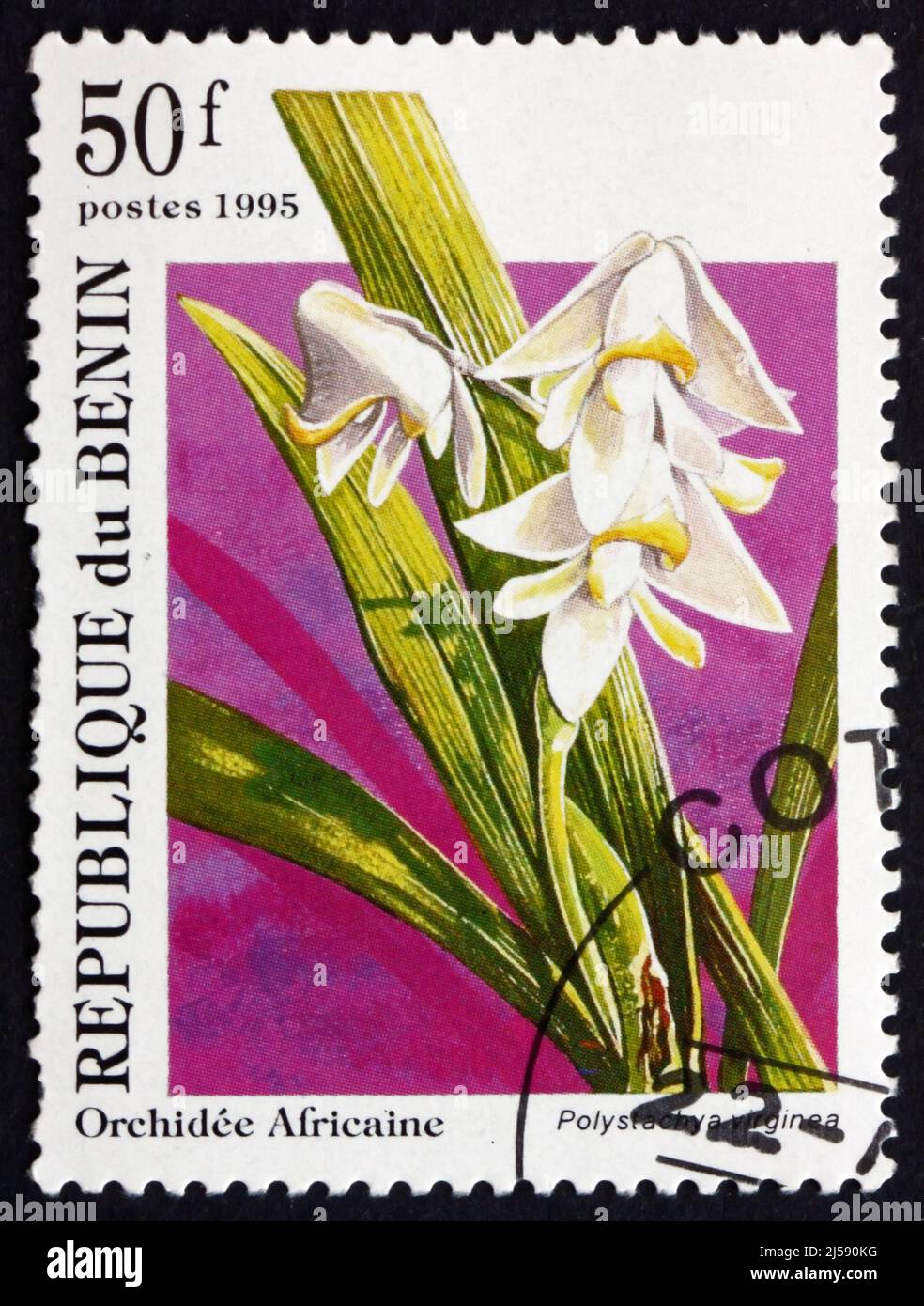 BENIN - CIRCA 1995: a stamp printed in the Benin shows Polystachya Virginea, Orchid, circa 1995 Stock Photo