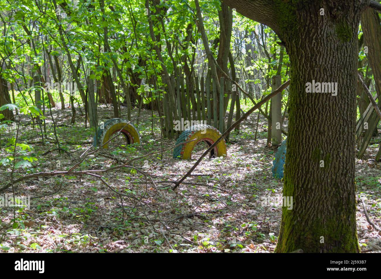 Street in abandoned village Dibrova, post apocalyptic landscape, summer season in Chernobyl exclusion zone, Ukraine Stock Photo