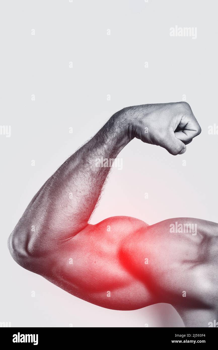 Muscular arm. Specialization for biceps training in bodybuilding. Stock Photo