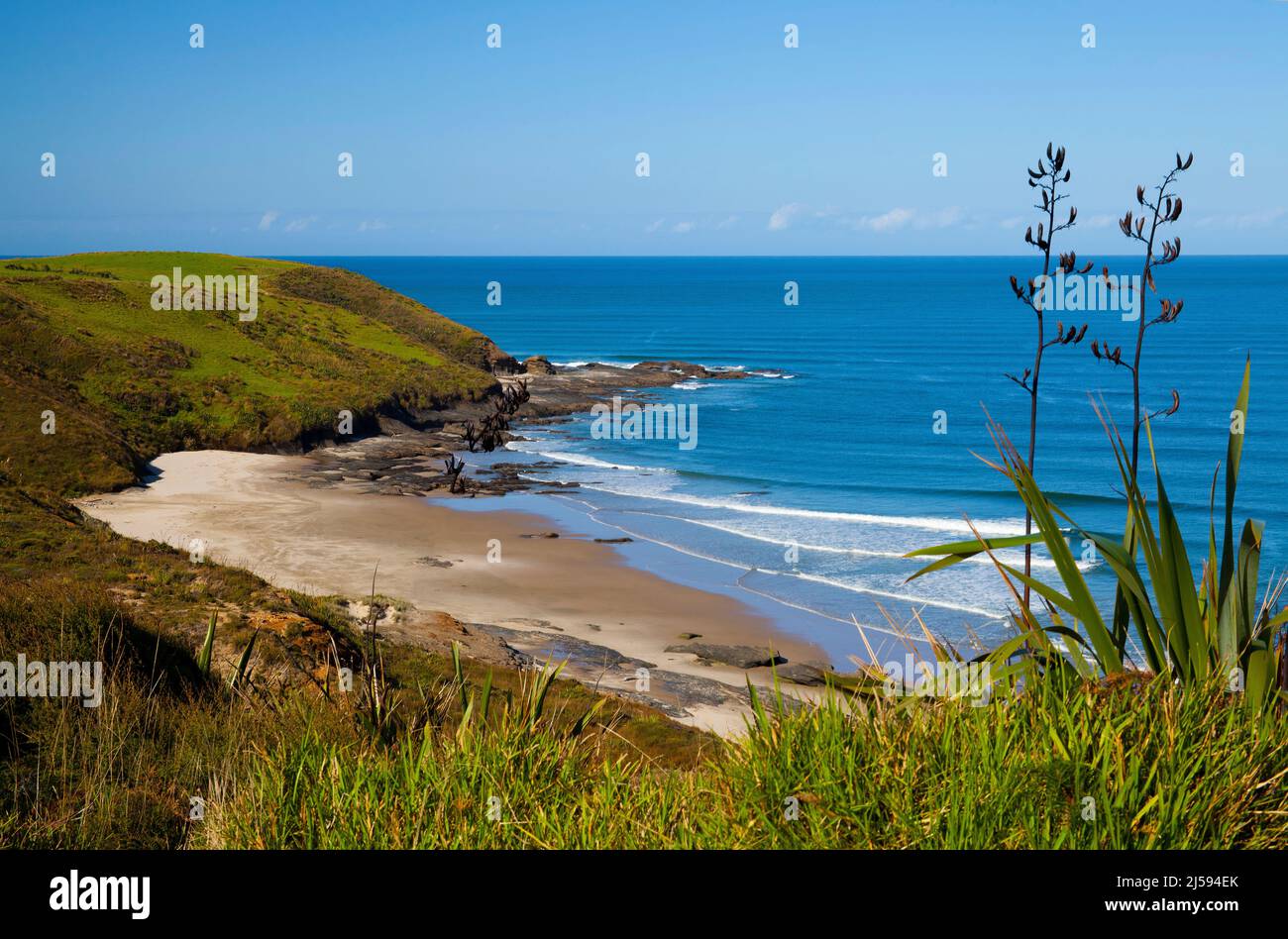 View of the Tasman Sea on the North Island of New Zealand Stock Photo