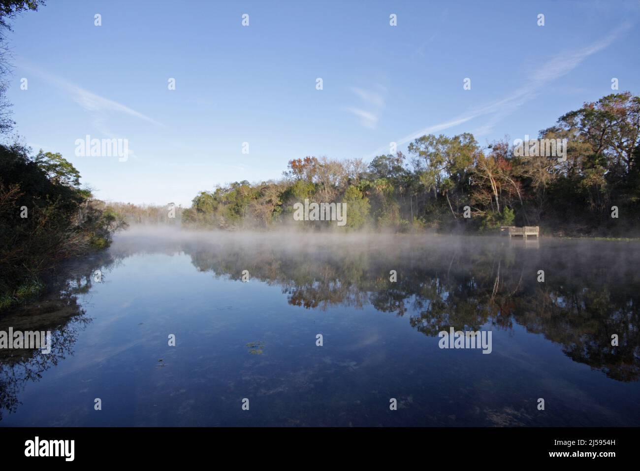 Landscape at Alexander Springs in the Ocala National Forest, Florida