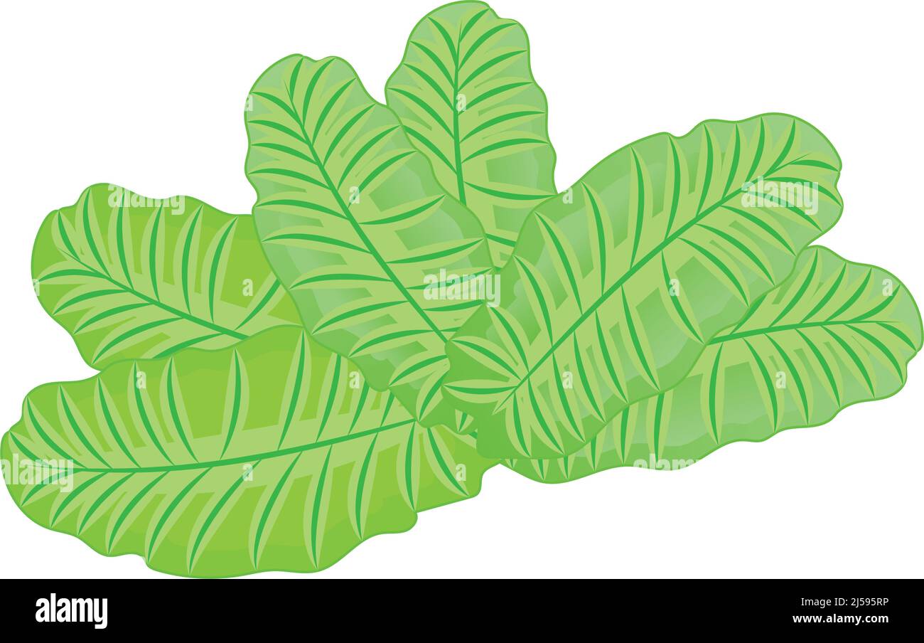 Isolated colored natural leaf icon Flat design Vector Stock Vector ...