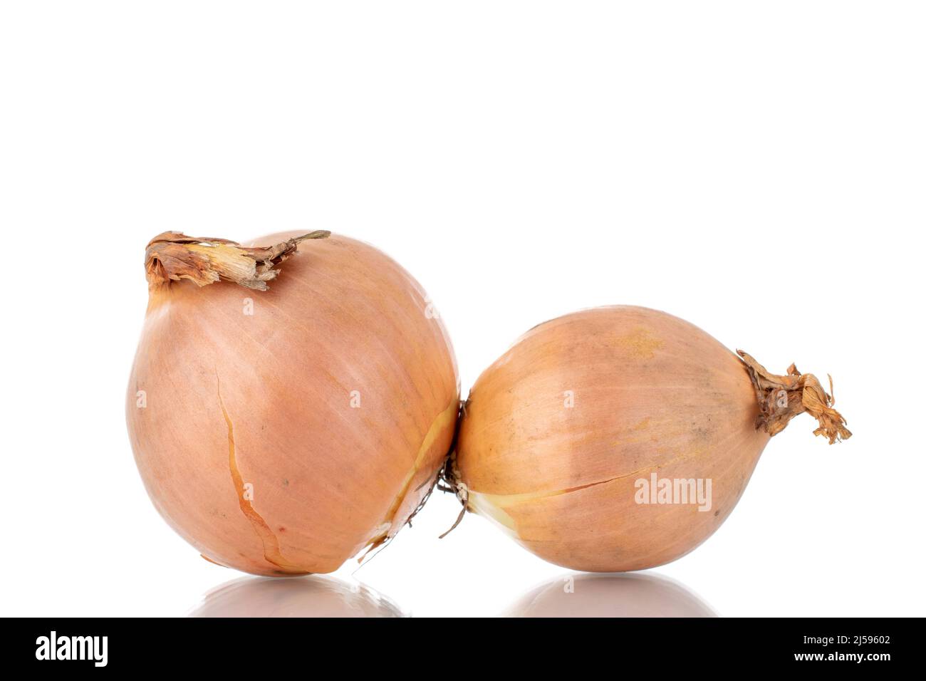 Two organic bulbs, macro, isolated on a white background. Stock Photo