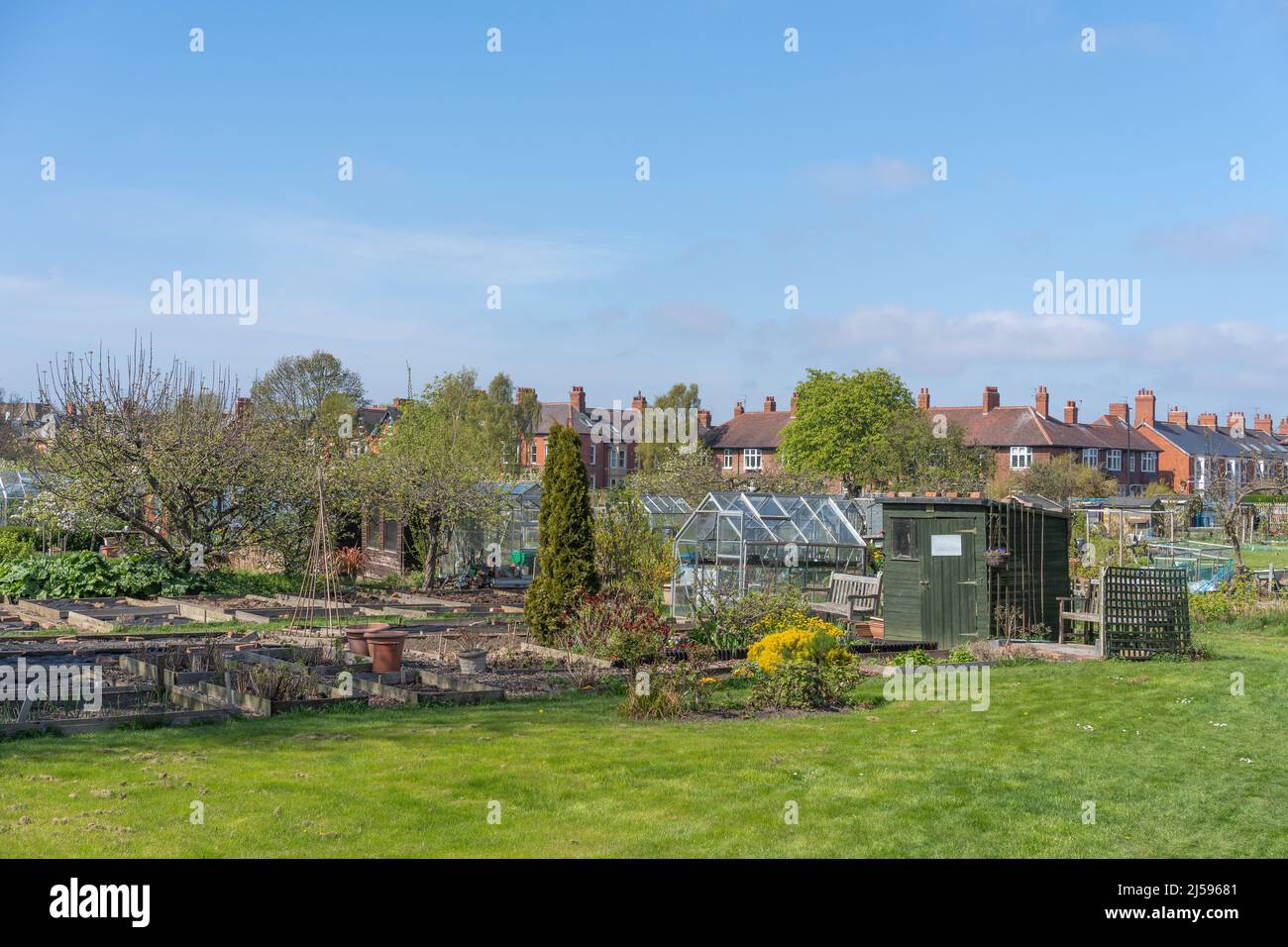 View over the allotment with raised beds, greenhouse and shed, Newcastle upon Tyne, UK. Credit: Hazel Plater/Alamy Stock Photo