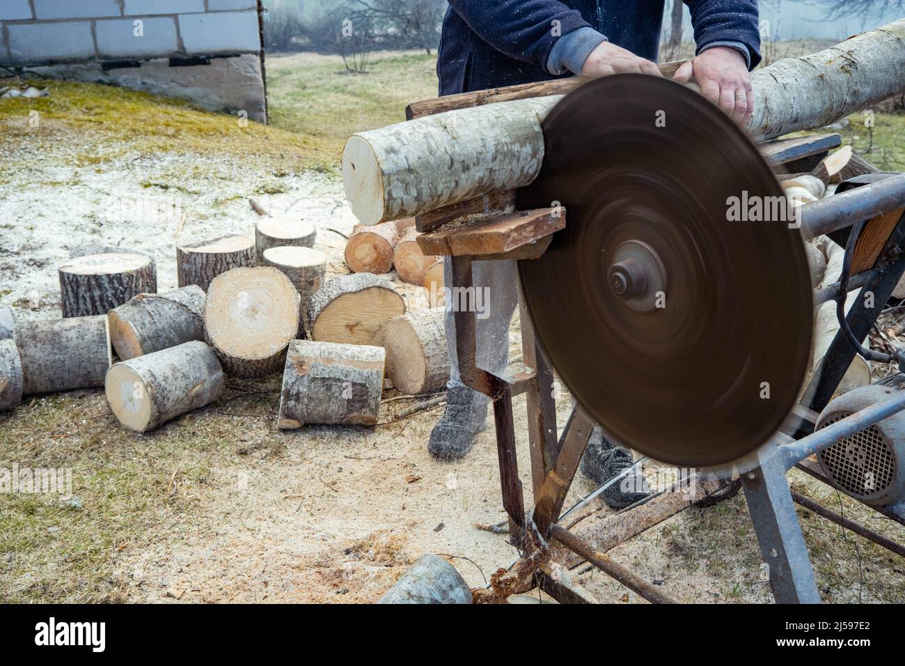 Circular saw blade. preparation of firewood for winter Stock Photo Alamy