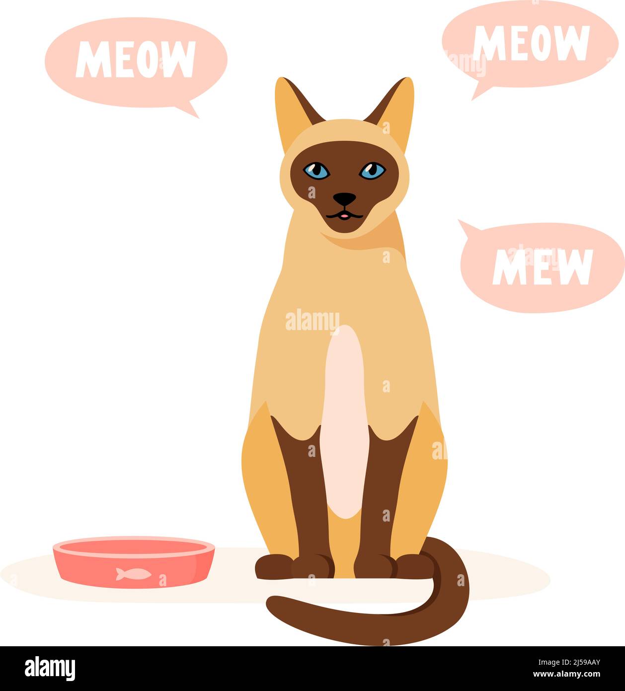 Hungry cat asks for food. Pet mews and demands food. Siamese cat sits