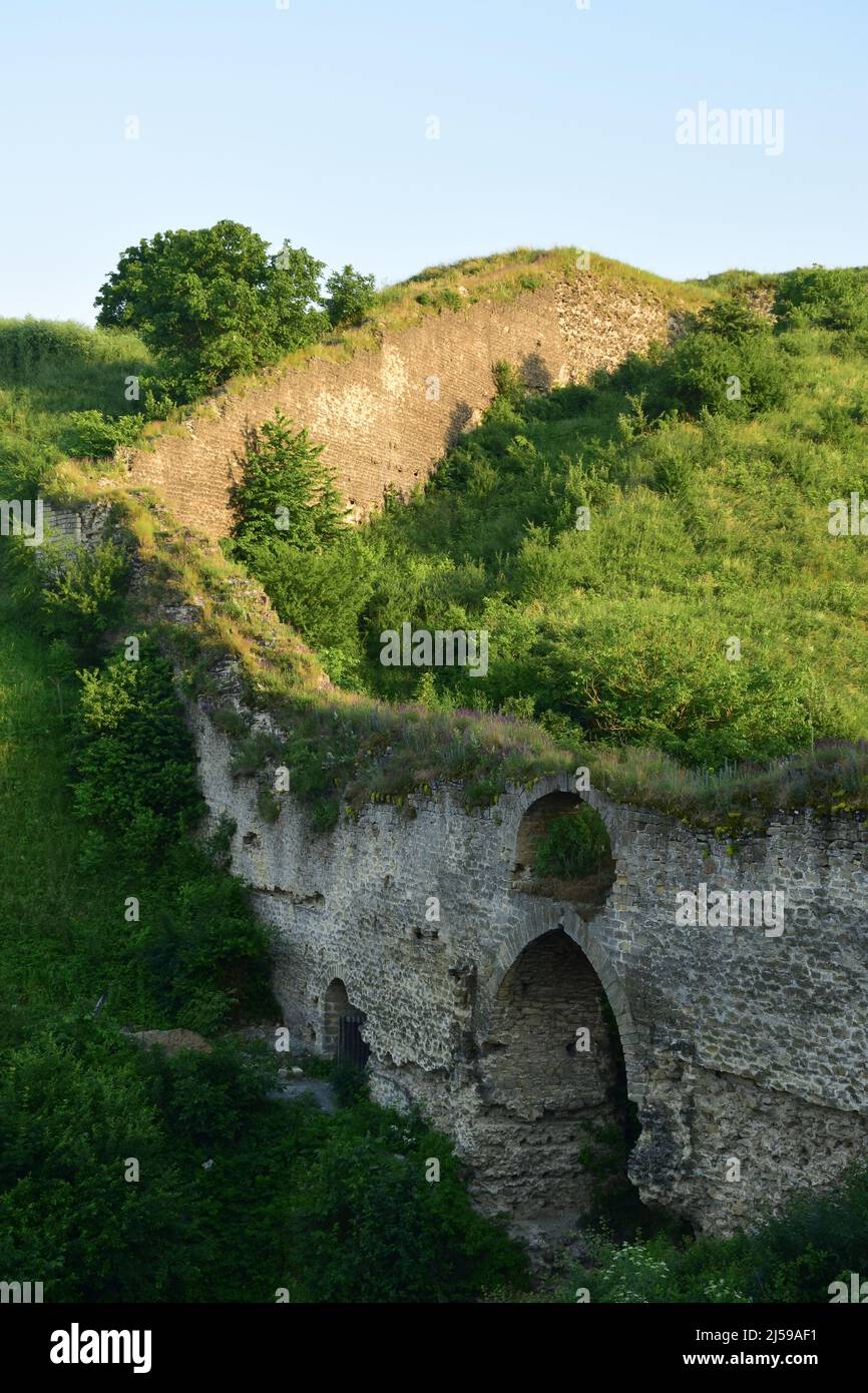 Old stone wall overgrown grass hi-res stock photography and images - Alamy