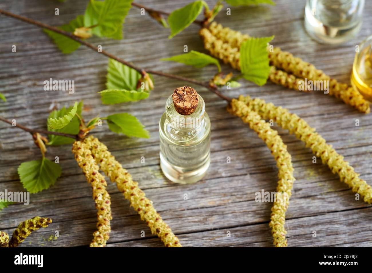 A bottle of essential oil with fresh birch branches Stock Photo