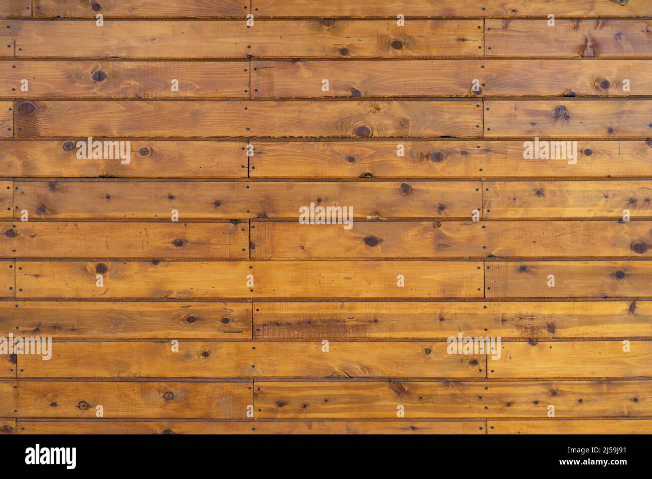 Natural wood paneling with knots and nails in a honey brown color Stock Photo