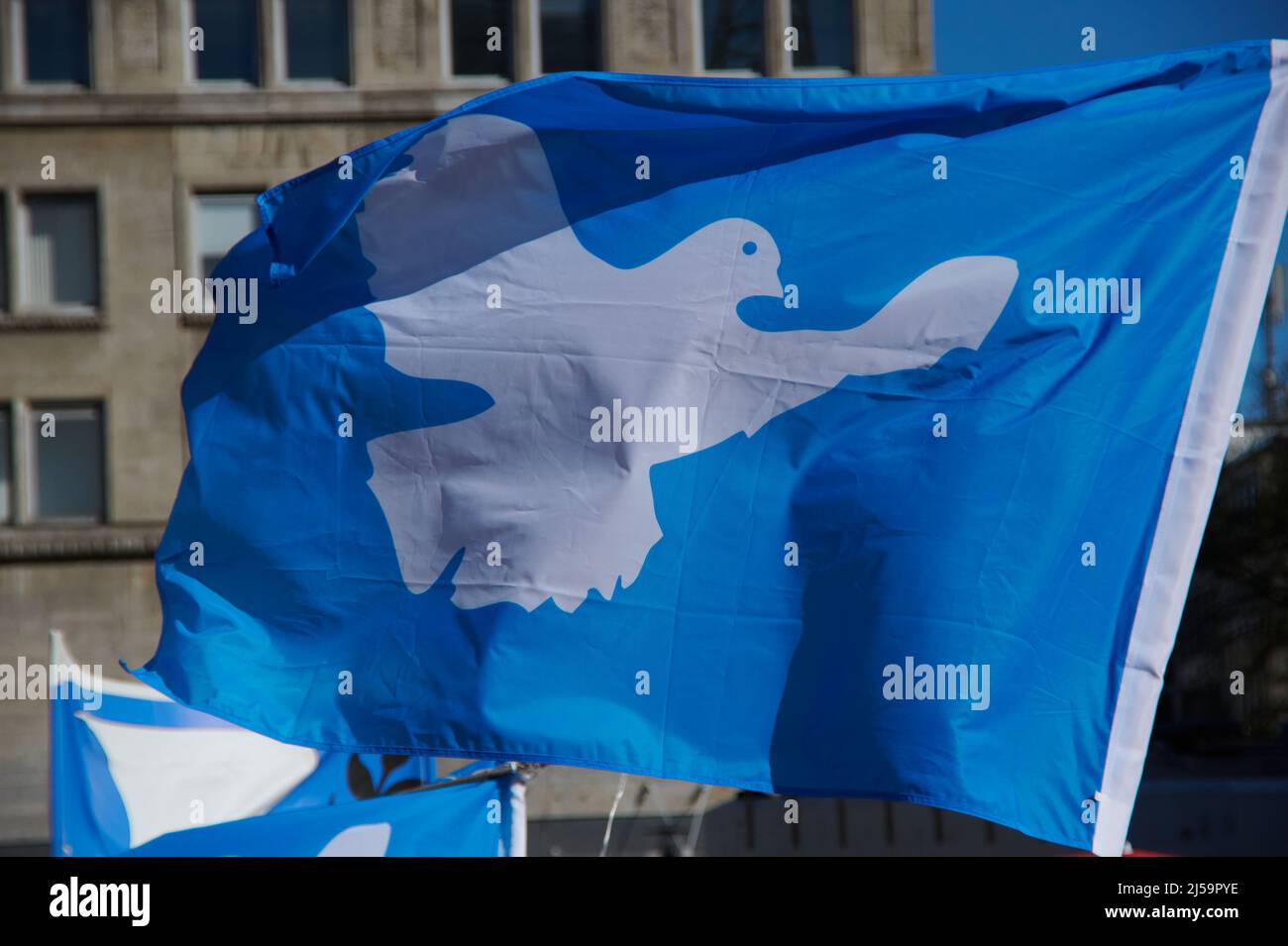 Das Symbol der Friedensbewegung: weisse Taube auf blauem Grund. Stock Photo