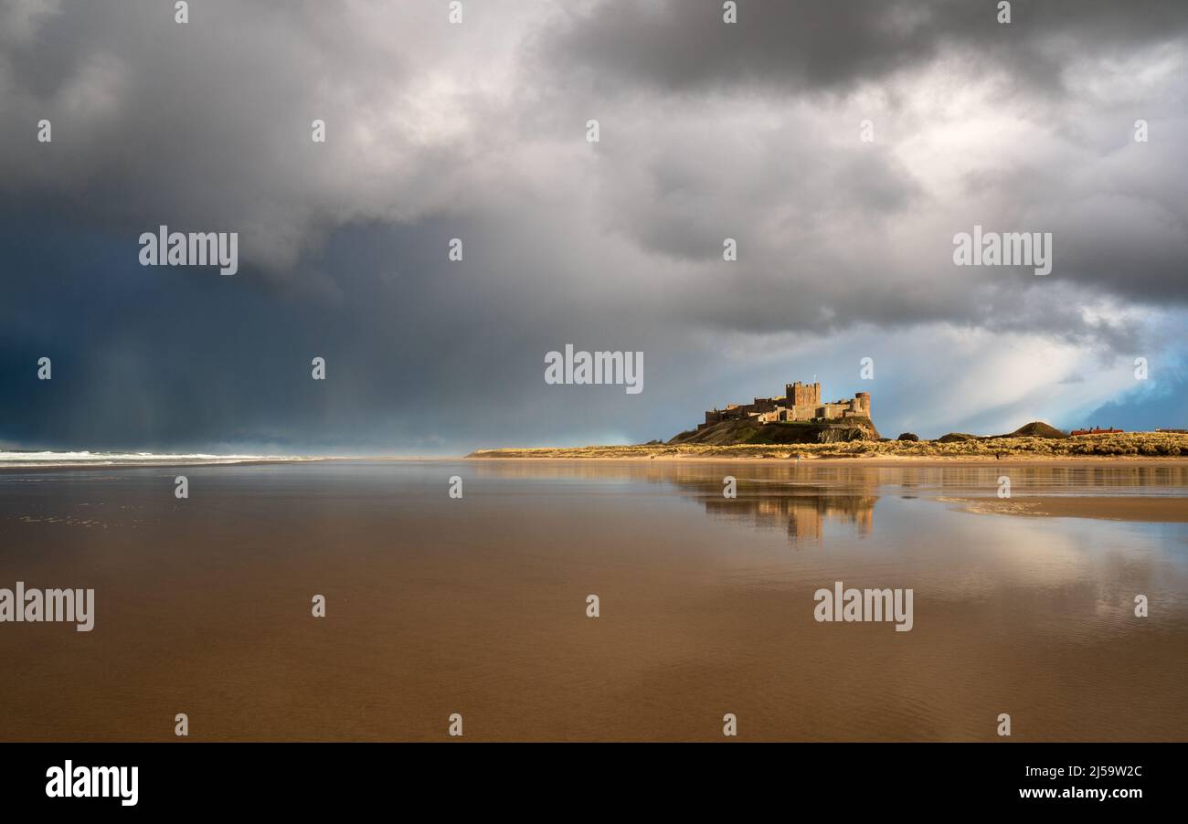 Bamburgh Castle glows as low sun highlights a dramatic squall passing over the Northumberland coastline on a changeable spring evening. Stock Photo