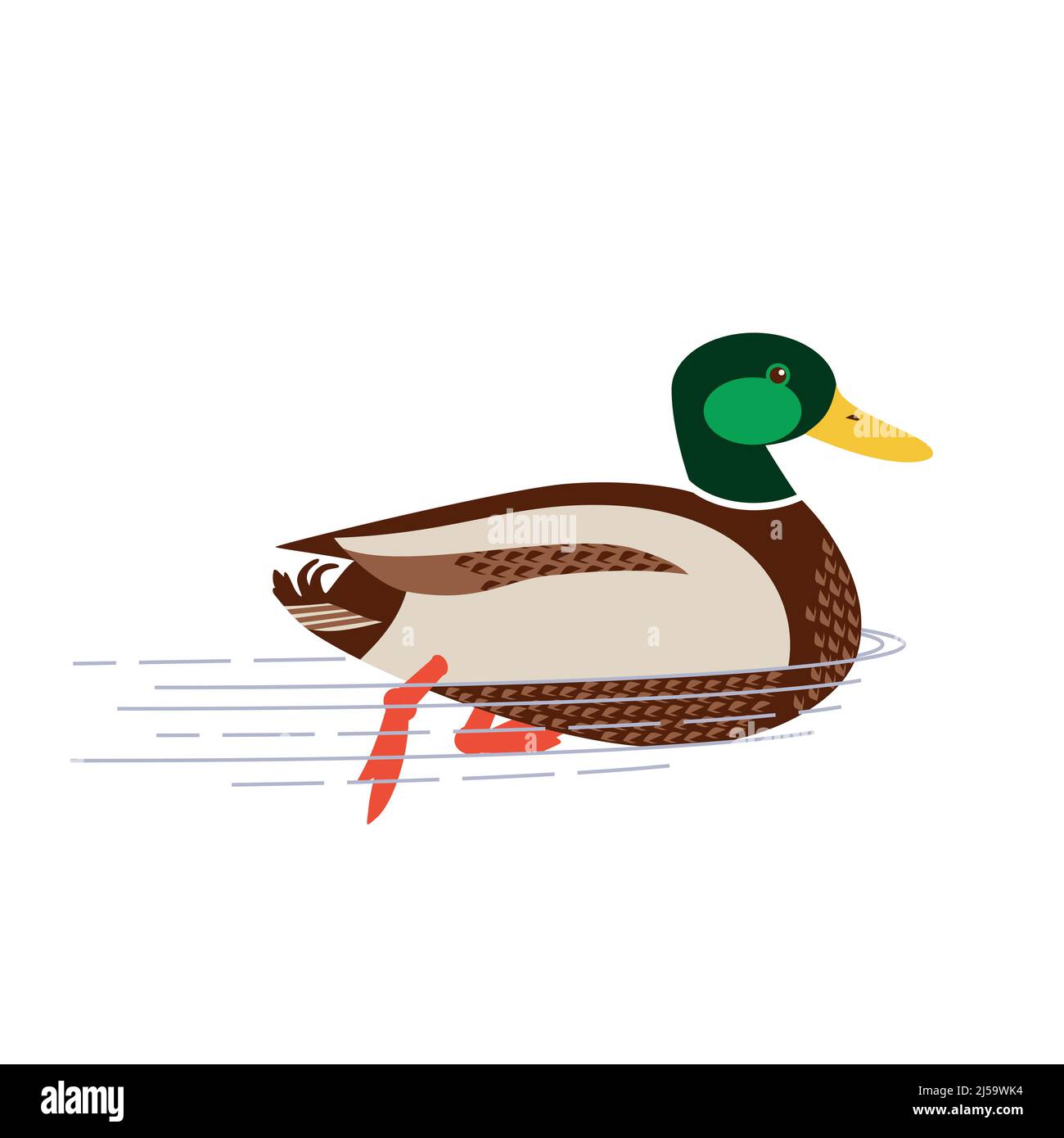 Cute Cartoon Duck Swimming Royalty Free SVG, Cliparts, Vectors, and Stock  Illustration. Image 106228614.