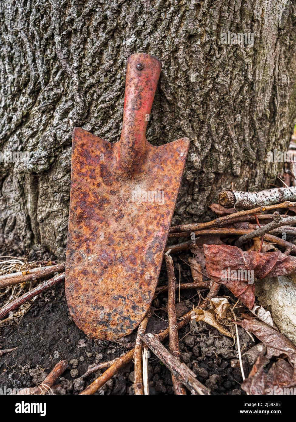 An old rusty trowel rests against a tree trunk surrounded by vegetation, UK Stock Photo