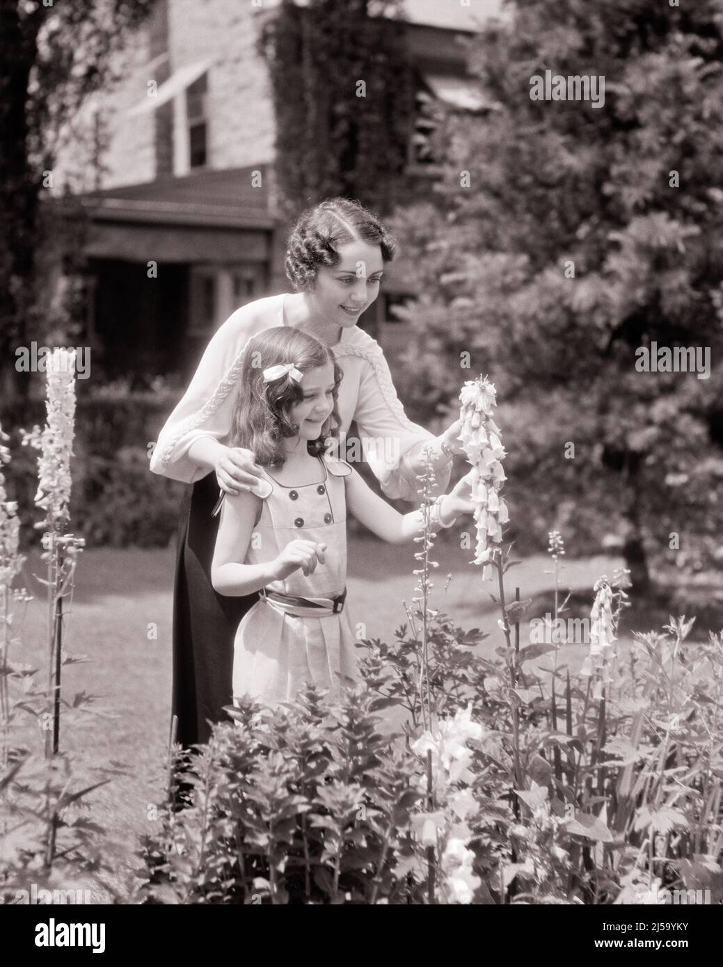 1930s SMILING WOMAN MOTHER AND GIRL DAUGHTER IN THE GARDEN EXAMINING BLOSSOMS ON DIGITALIS PURPUREA OR COMMON FOXGLOVE PLANT - j4735 HAR001 HARS NOSTALGIA OLD FASHION 1 JUVENILE STYLE STRONG PLEASED FAMILIES JOY LIFESTYLE FEMALES HOUSES HOME LIFE COPY SPACE HALF-LENGTH LADIES DAUGHTERS PERSONS RESIDENTIAL CARING BUILDINGS PLANTS B&W SUMMERTIME GARDENER CHEERFUL AND COMMON EXAMINING HOMES SMILES GARDENS JOYFUL RESIDENCE OR PERSONAL ATTACHMENT AFFECTION BLOSSOMS EMOTION FOXGLOVE JUVENILES MID-ADULT MID-ADULT WOMAN MOMS PRE-TEEN PRE-TEEN GIRL SEASON BLACK AND WHITE CAUCASIAN ETHNICITY HAR001 Stock Photo