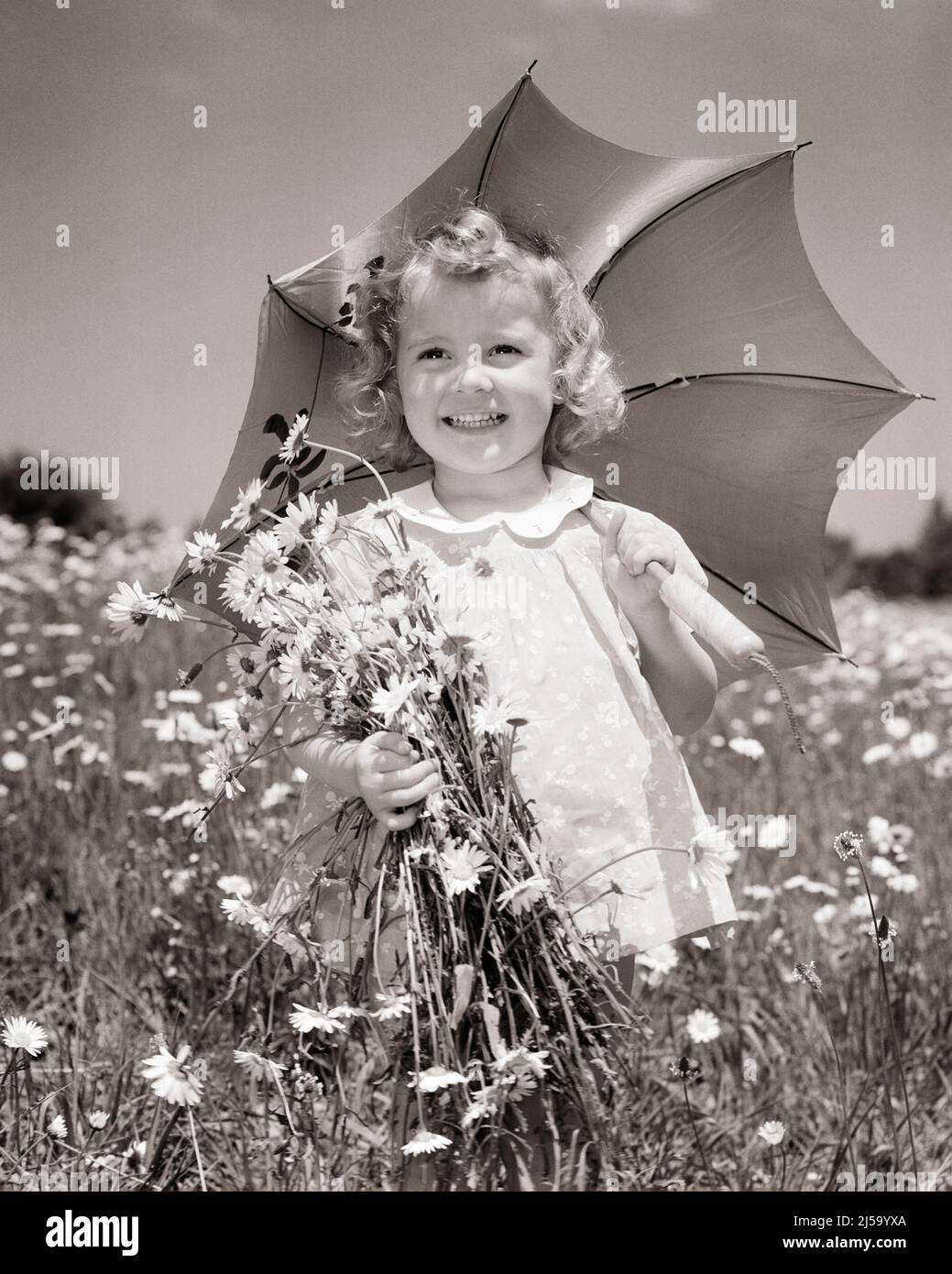 1940s SMILING LITTLE GIRL IN FIELD OF DAISIES HOLDING A BOUQUET AND SHADING FROM THE SUN WITH AN UMBRELLA - j5994 HAR001 HARS COPY SPACE HALF-LENGTH CONFIDENCE B&W DAISY SUMMERTIME EYE CONTACT DAISIES FREEDOM PRETTY HAPPINESS CHEERFUL ADVENTURE DISCOVERY AND EXCITEMENT LOW ANGLE SMILES JOYFUL PLEASANT AGREEABLE CHARMING GROWTH JUVENILES LOVABLE PLEASING SEASON SHADING WILDFLOWERS ADORABLE APPEALING BLACK AND WHITE CAUCASIAN ETHNICITY HAR001 OLD FASHIONED WINSOME Stock Photo