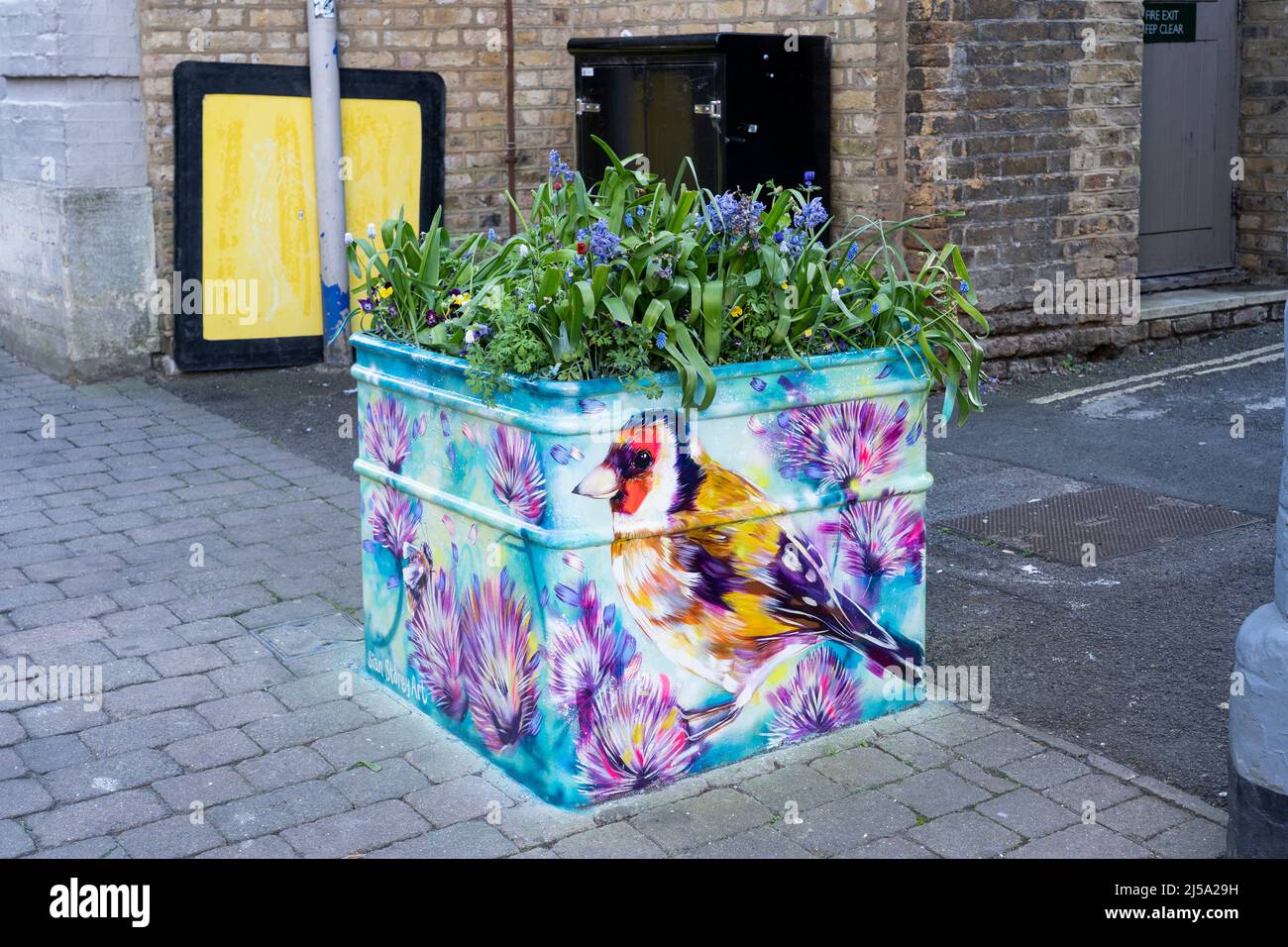 Painting of a goldfinch by Sian Storey Art on a planter in Basingstoke town centre April 2022. Part of Streets Alive celebrating local artists. UK Stock Photo