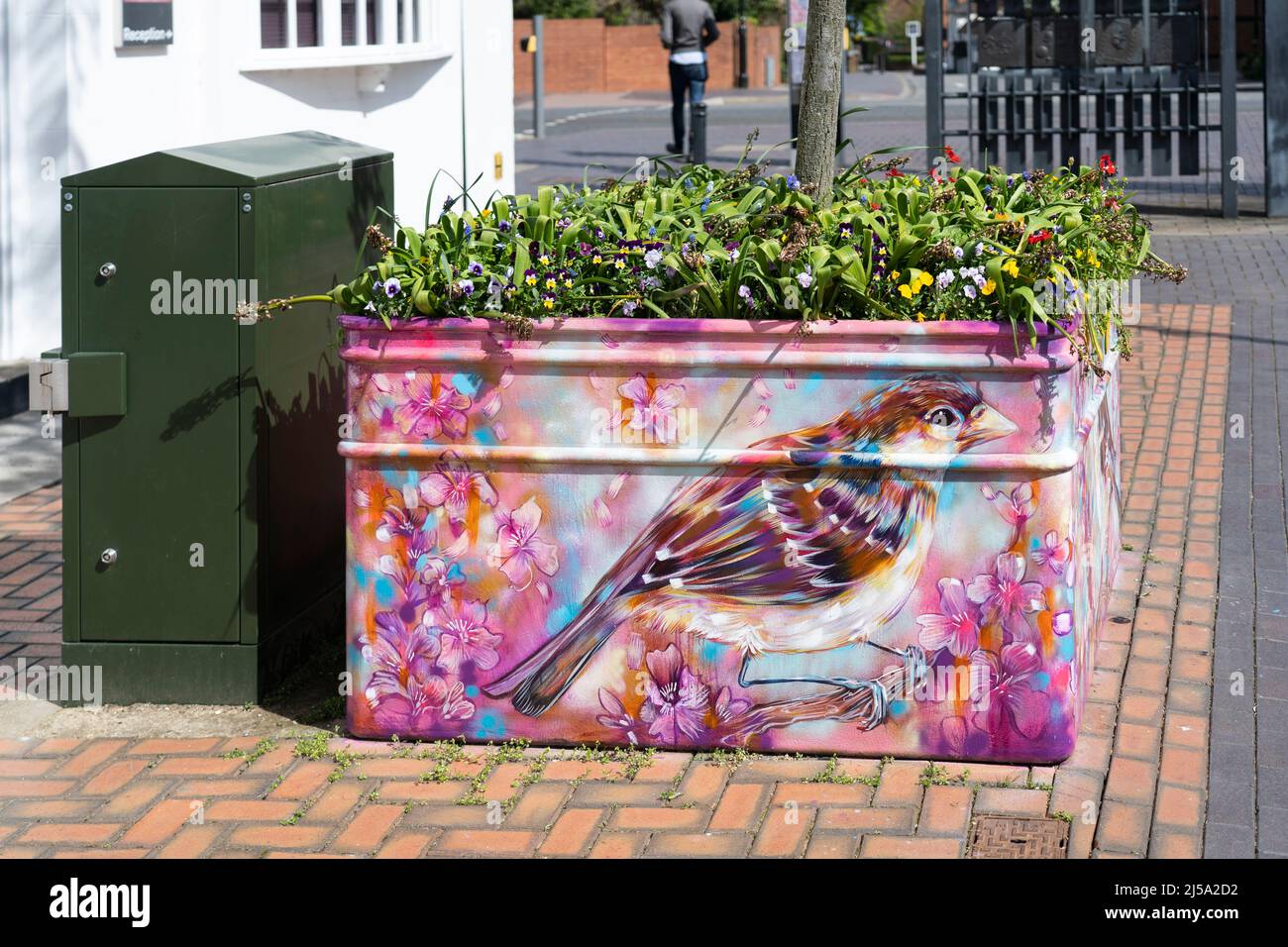 Painting of house sparrow by Sian Storey Art on a planter in Basingstoke town centre April 2022. Part of Streets Alive celebrating local artists. UK Stock Photo