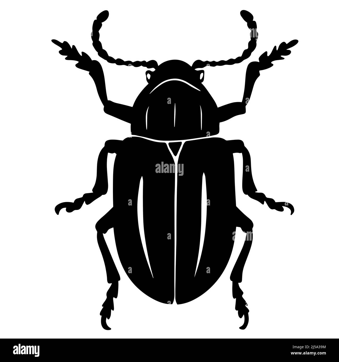 Black illustration of a tropical beetle. The insect is a pest of