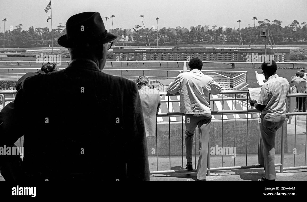 Men studying racing tips before placing their bets at Santa Anita Park in Arcadia, California Stock Photo