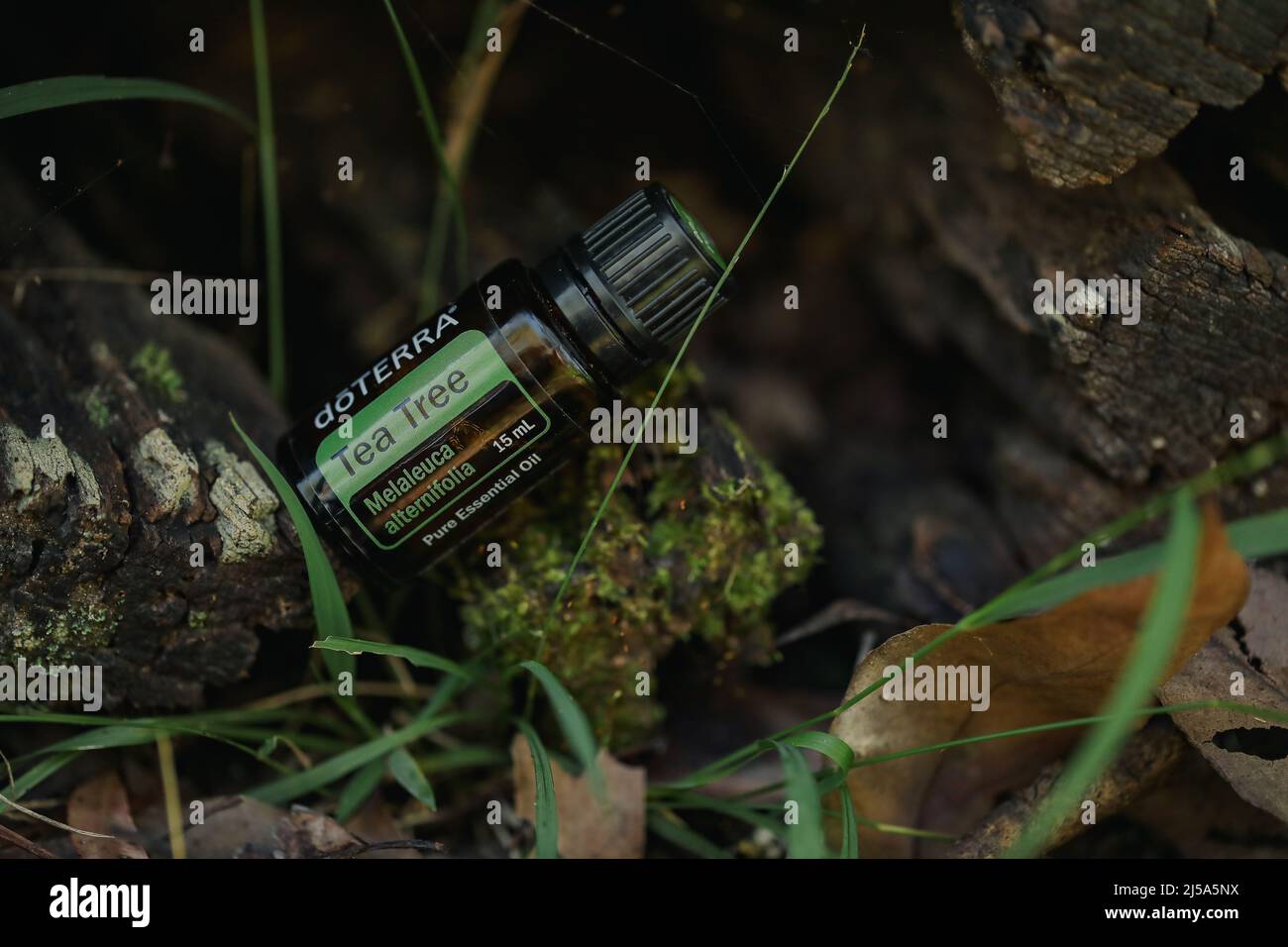 Illustrative editorial image of doterra essential oil Stock Photo Alamy