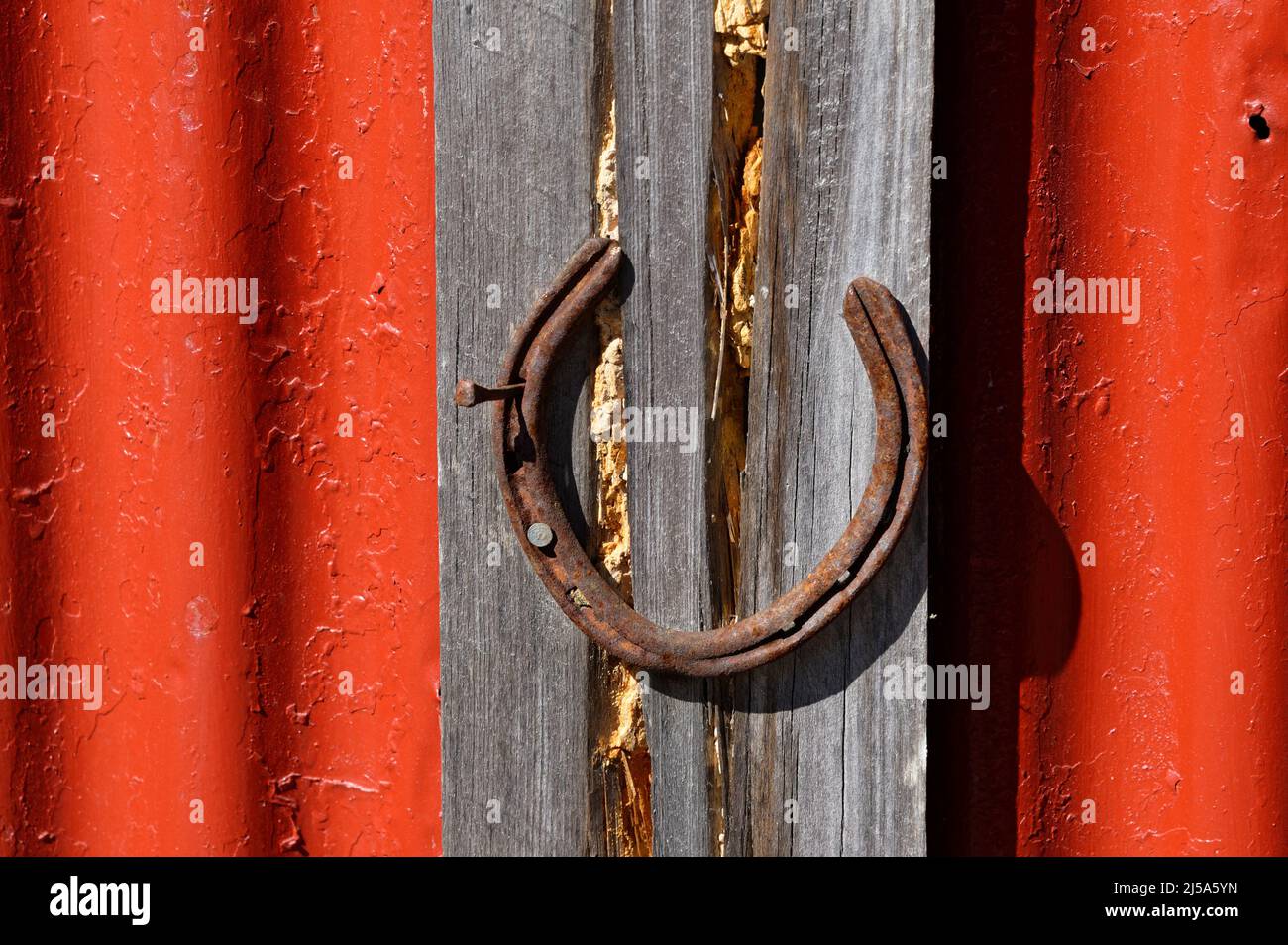 A hoof nail protrudes from a rusty horse shoe Stock Photo