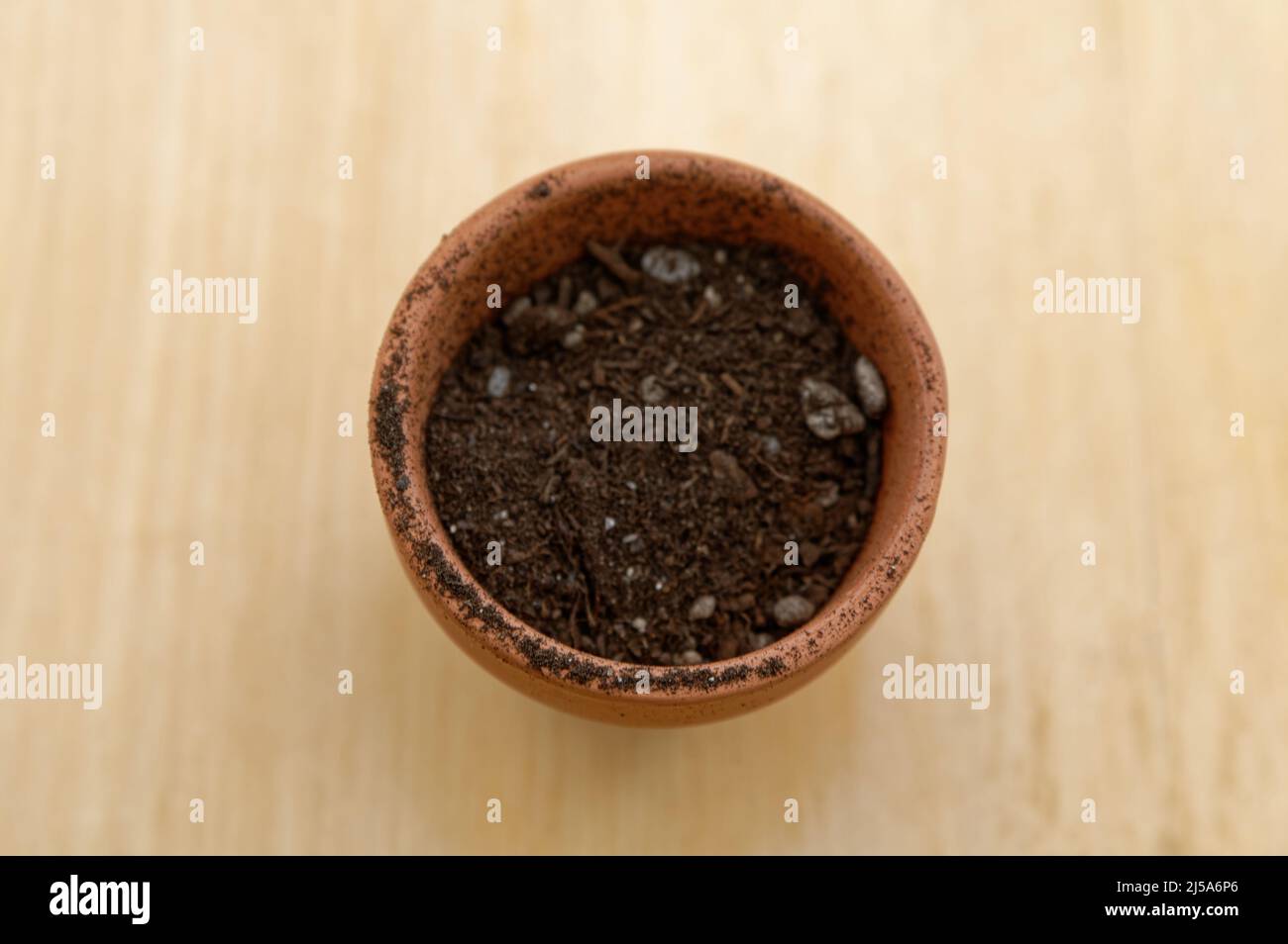 Seed raising mix fills a little terracotta pot waiting for a seed or seedling to be added. Stock Photo