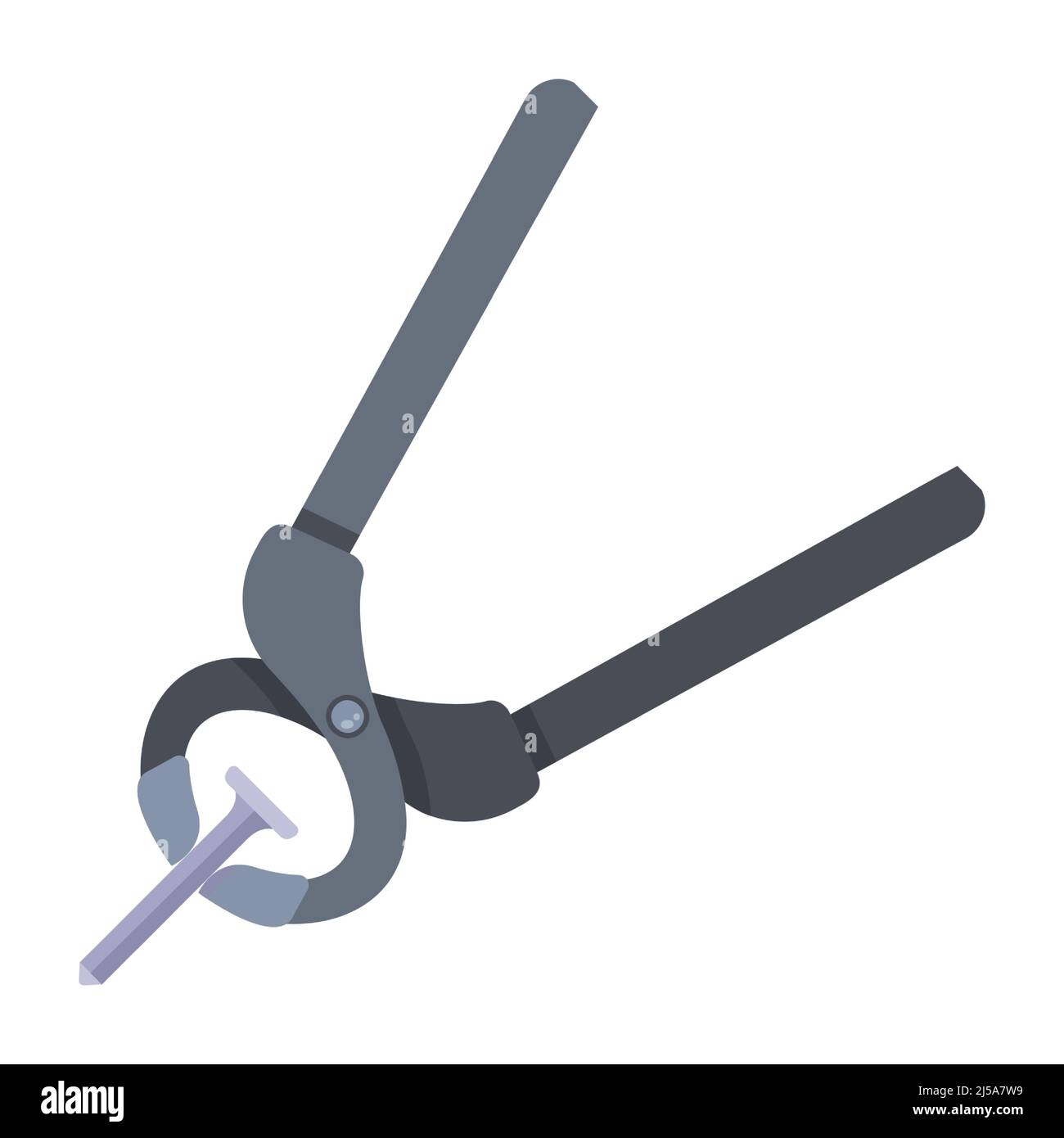 remove the nail with pliers. construction tool for housework. flat vector illustration. Stock Vector
