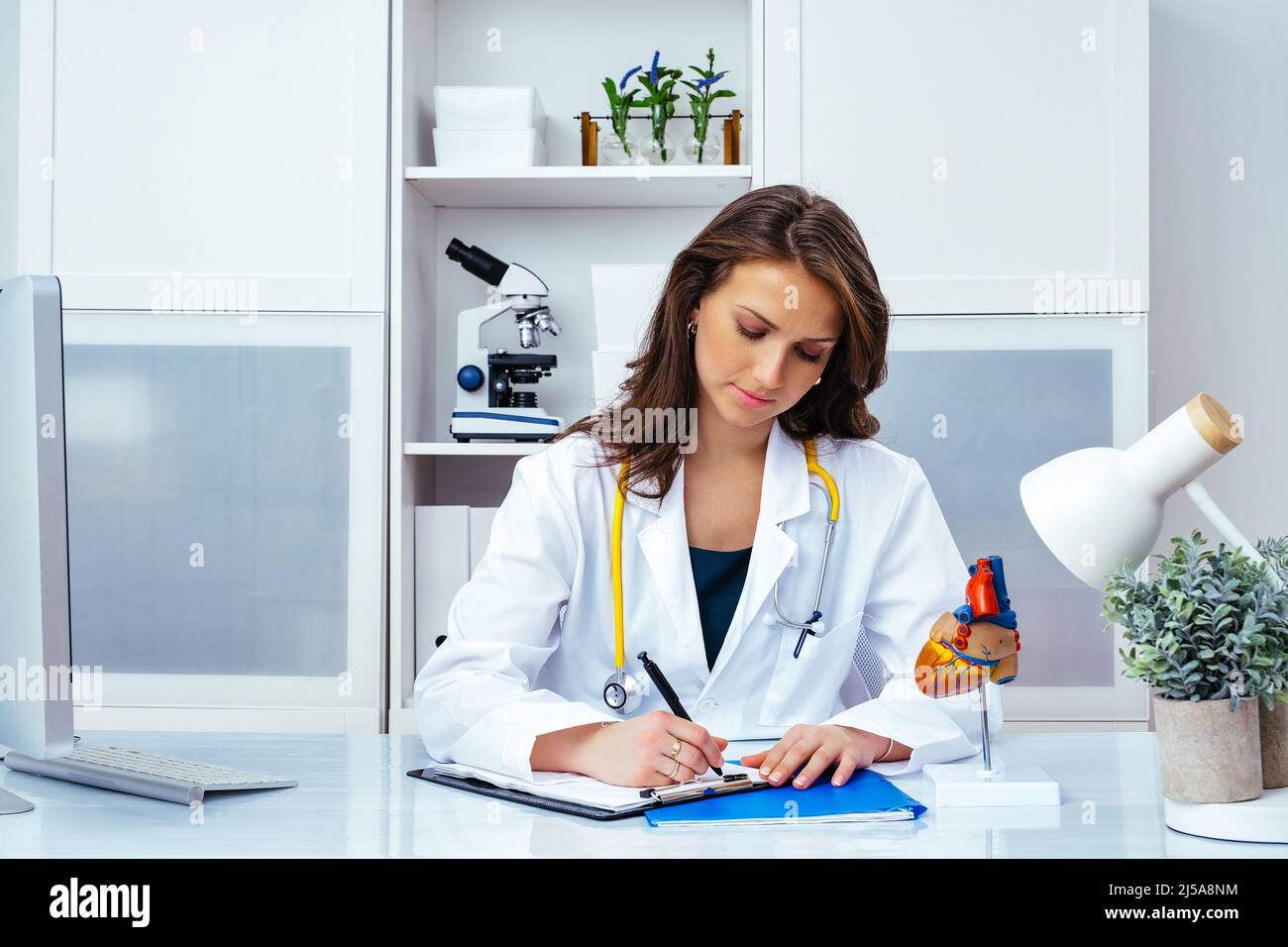 thoughtful female doctor in office healthcare industry Stock Photo