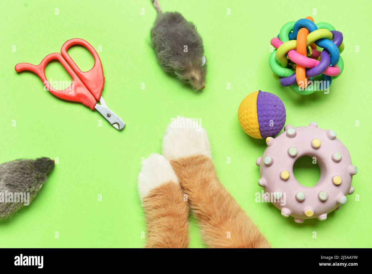 Paws of cute cat and toys on green background Stock Photo