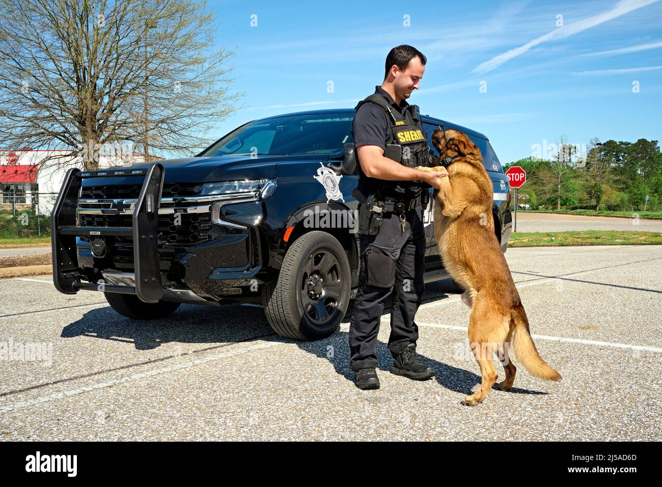 Law enforcement police K-9 officer or deputy sheriff K-9 with his police K-9 dog in front of a police SUV cruiser in Montgomery Alabama, USA. Stock Photo