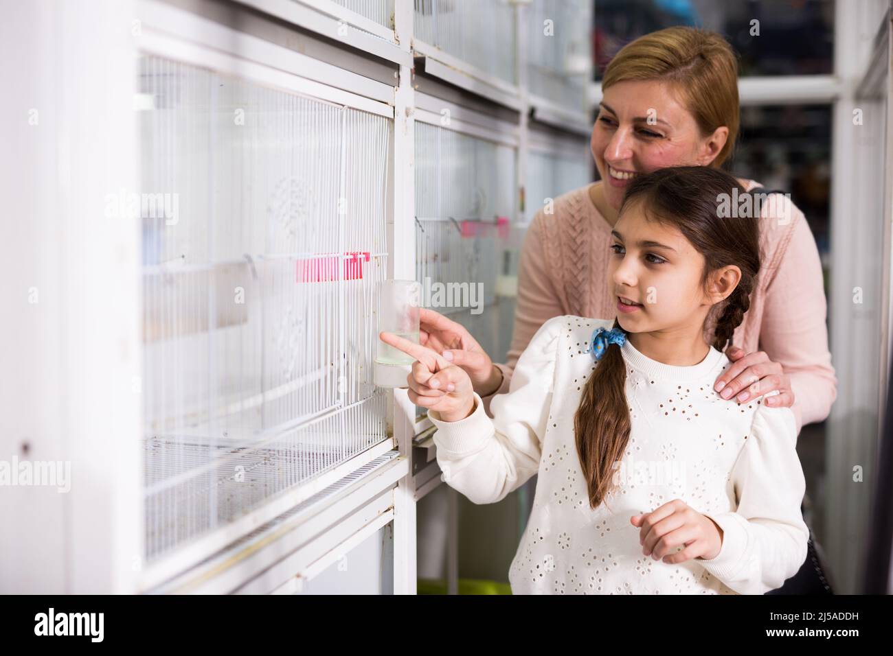Girl with her mother buying bird in pet store Stock Photo Alamy