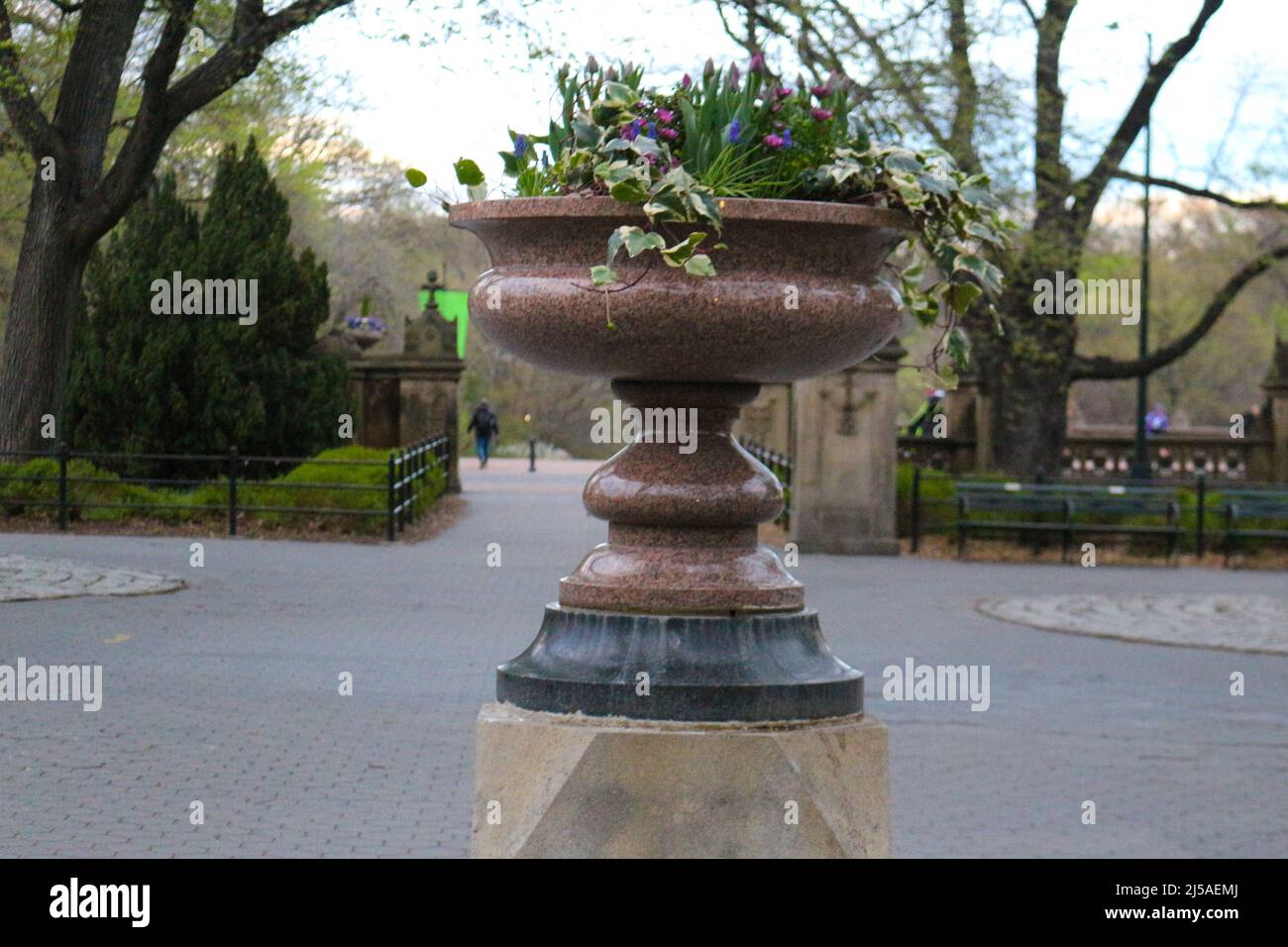 Flowers are blooming at Central Park in New York City on April 21, 2022