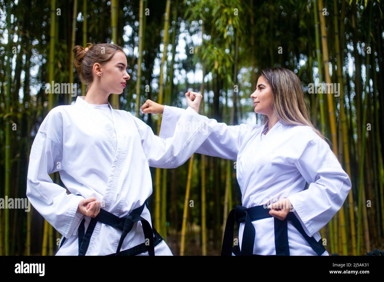 people high kicks during training of taekwondo outdoors bamboo