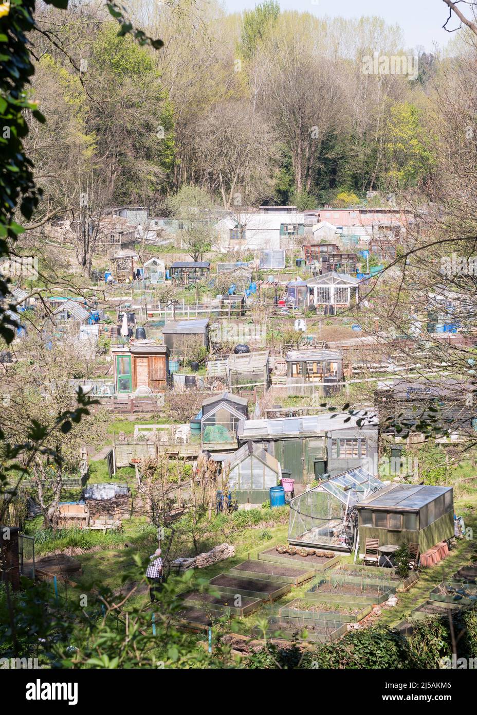 Schoolhouse Allotment site, allotments in Jesmond Vale, near the centre of Newcastle upon Tyne, England, UK Stock Photo