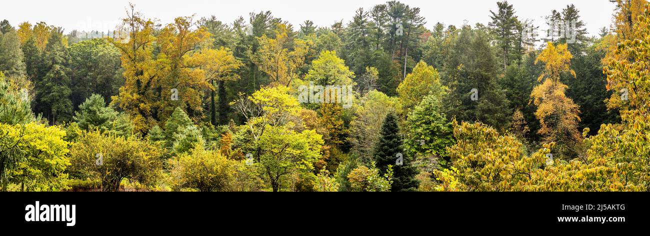 A panorama view of part of the Biltmore Estate grounds near the Bass pond and Azalea garden. Stock Photo