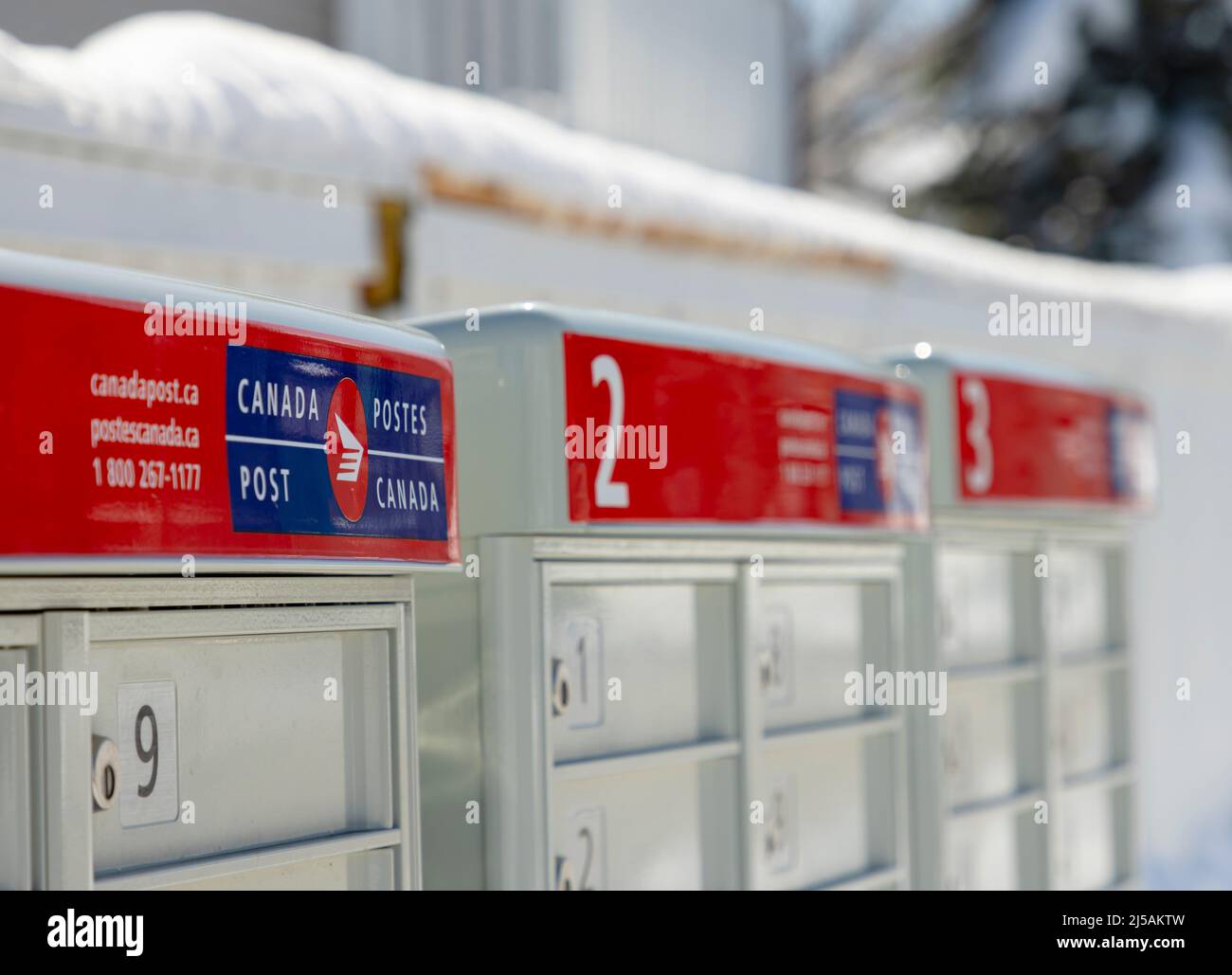 Canada 20 bill hires stock photography and images Alamy