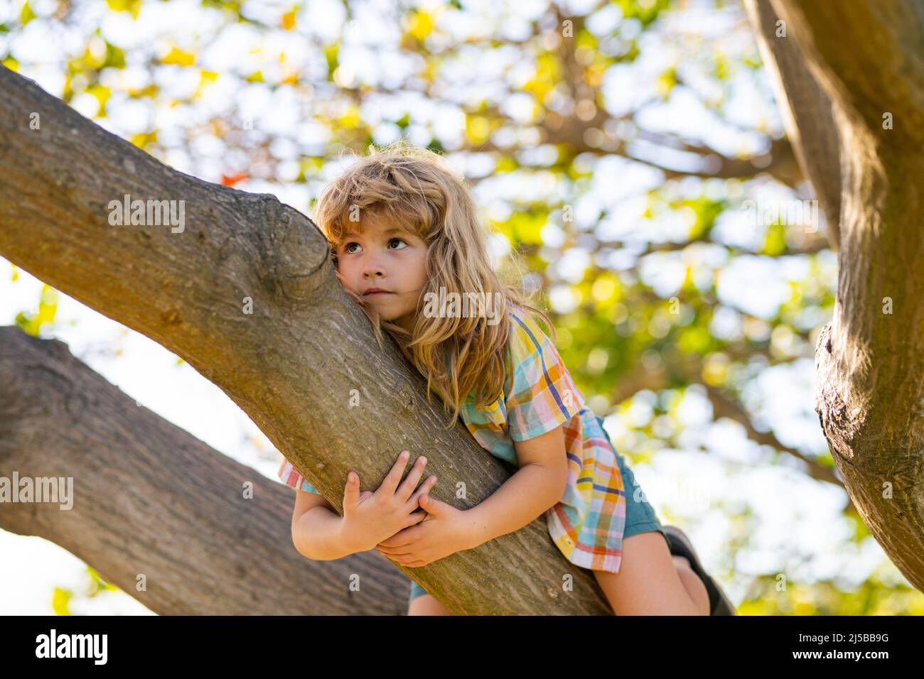 Happy child playing in the garden climbing on the tree. Kid boy playing ...