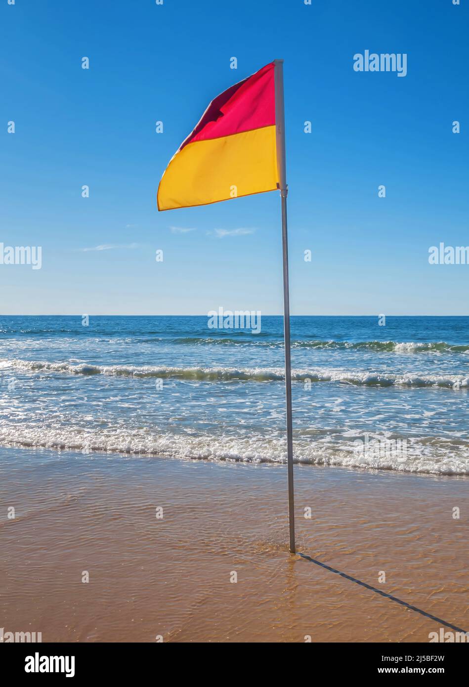 Swimming between flags australia hires stock photography and images