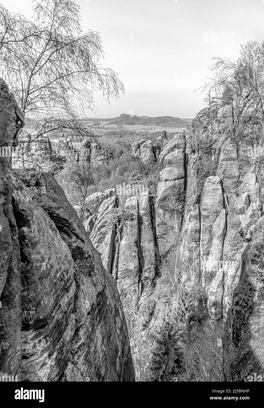 Black and white mountain landscape at the Saxon Switzerland National Park, Saxony, Germany Stock Photo