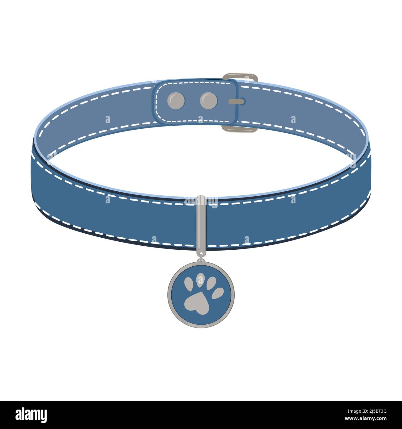 A collar for cats and dogs with a pendant. Vector color isolated