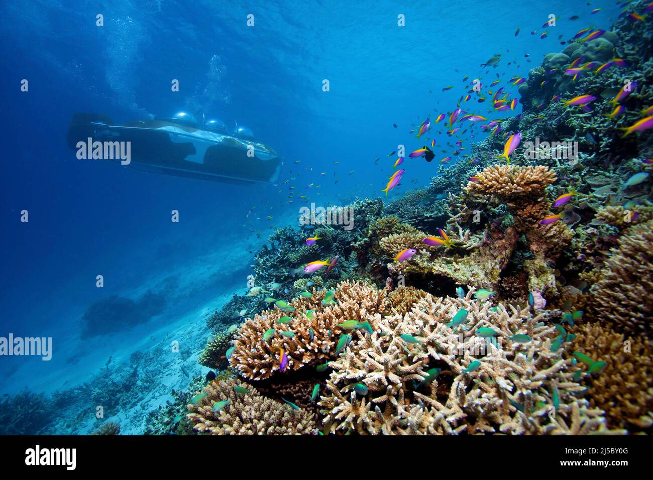 Tourists in the U-Boot Nemo 100, exploring a maldivian coral reef, Hotel Conrad Maldives Rangali Island, South-Ari atoll, Maldives, Indian ocean, Asia Stock Photo