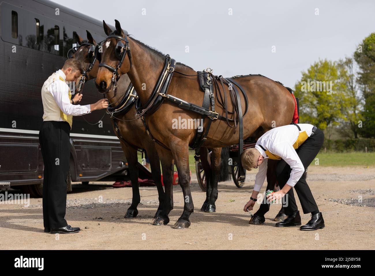 London Harness Horse Parade, South of England Centre, Ardingly West