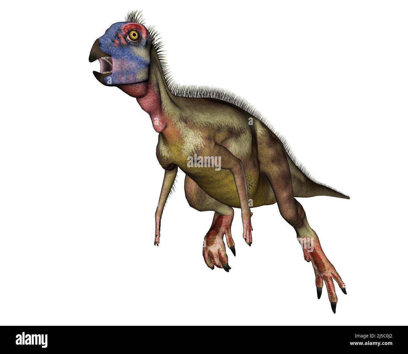 Hypsilophodon dinosaur running or jumping - 3D render Stock Photo - Alamy