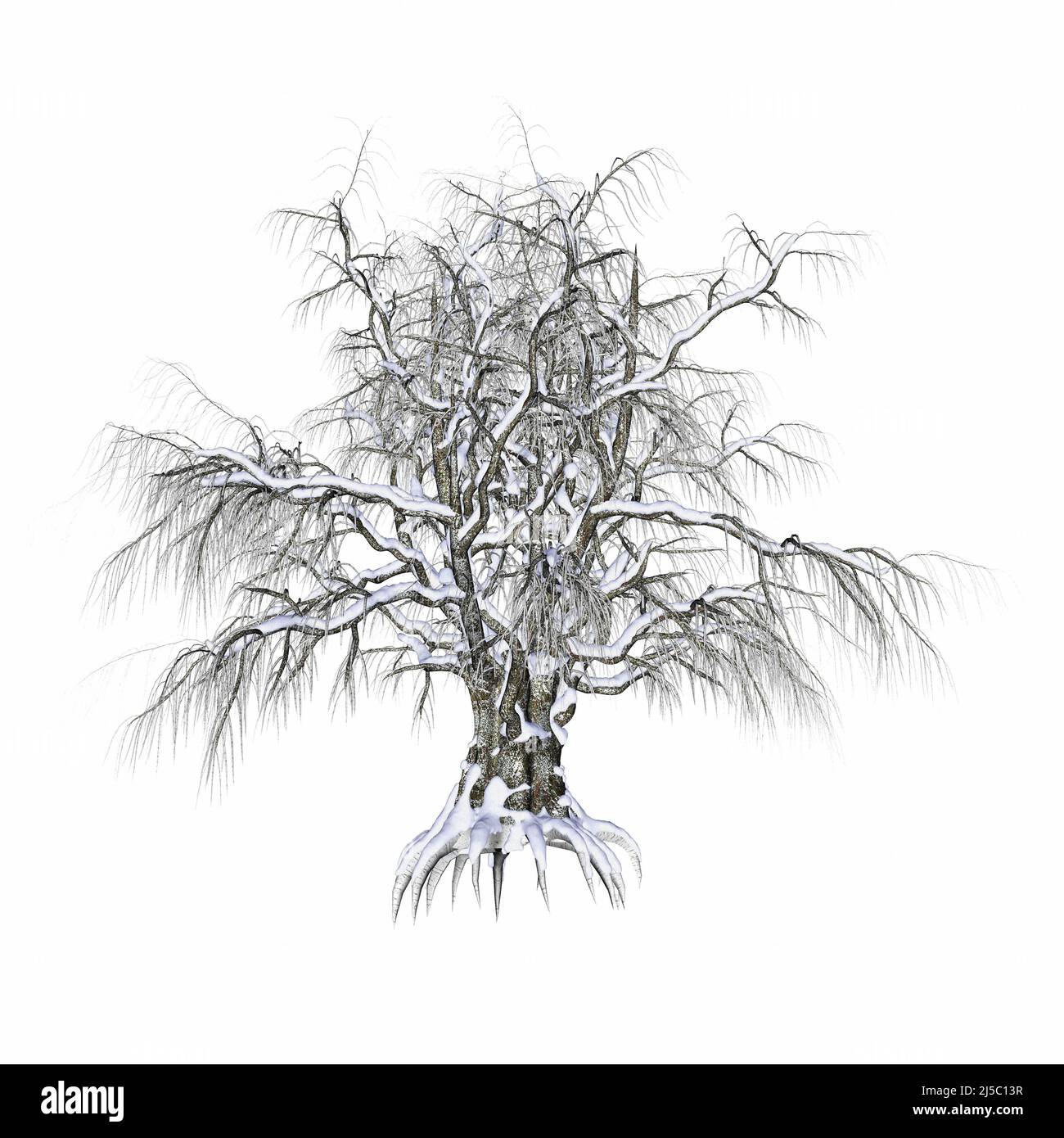 Winter tree covered with snow - 3D render Stock Photo - Alamy