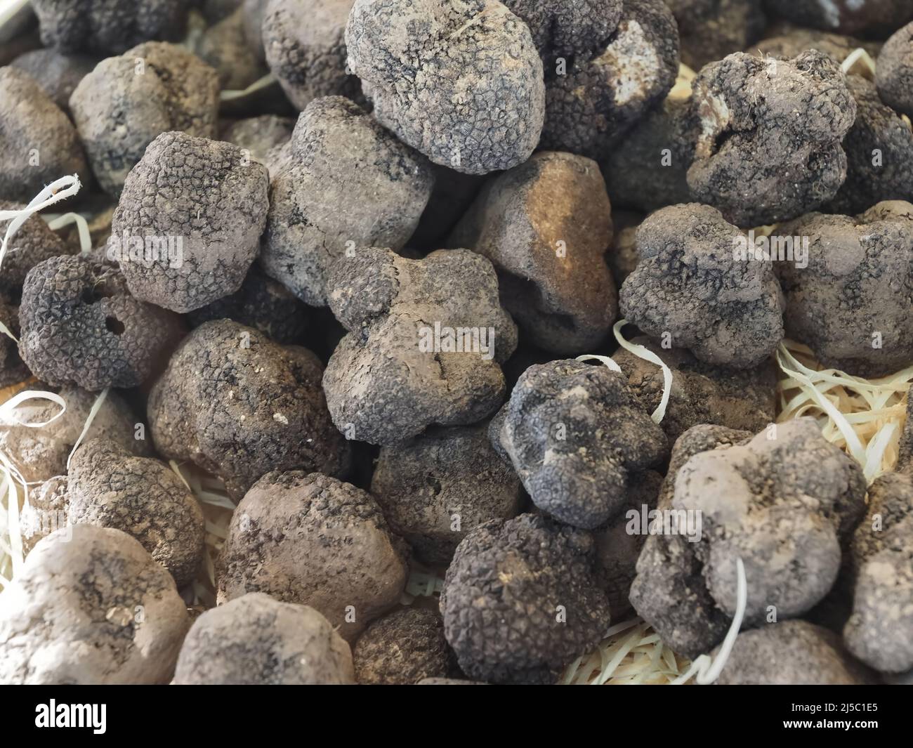 Group of delicious raw whole truffle Stock Photo