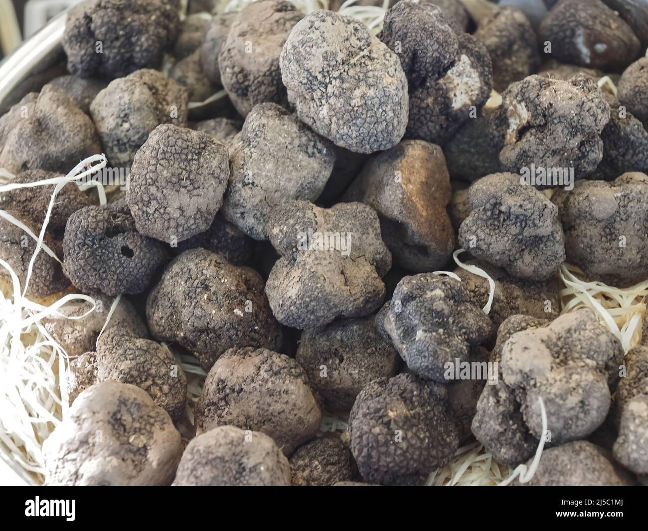 Group of delicious raw whole truffle Stock Photo